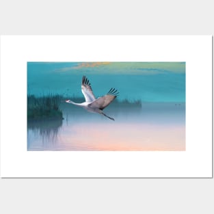 Sandhill Crane and Misty Marshes Posters and Art